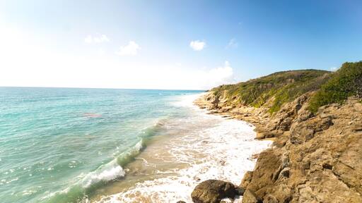 Vieques