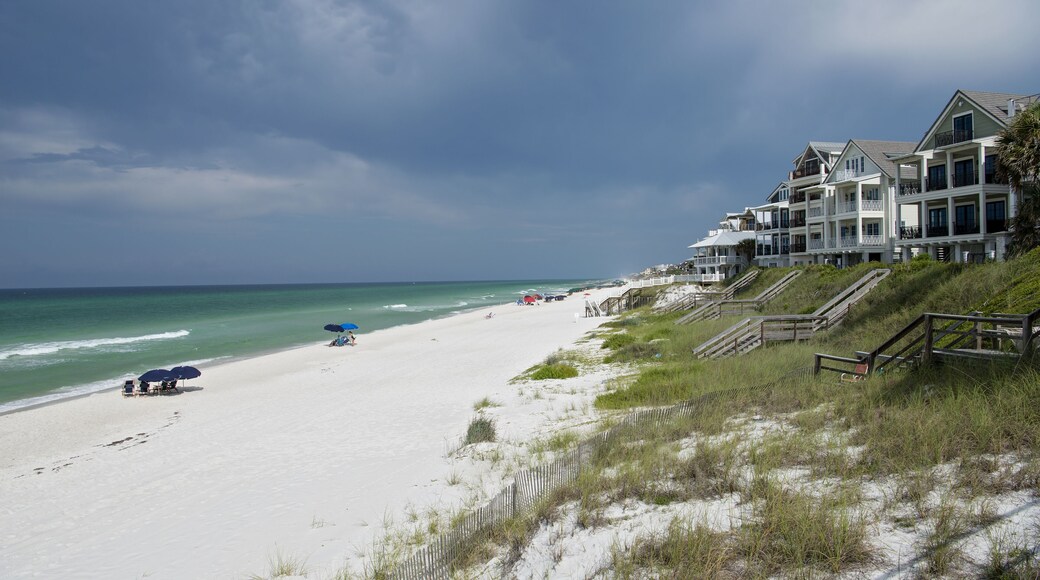 روزماري بيتش