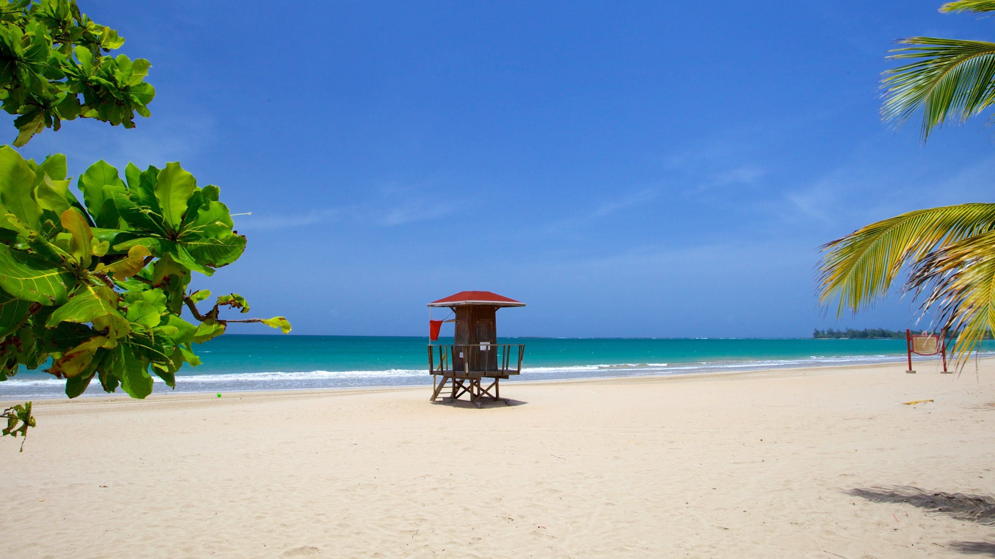 Isla Verde som visar en strand och tropisk natur