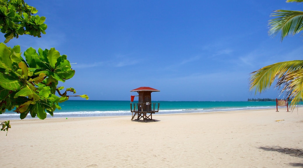 Isla Verde som visar en strand och tropisk natur