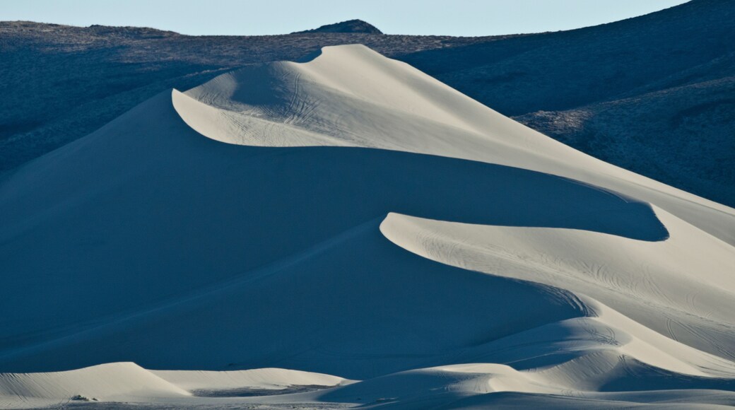 USA, Nevada, Fallon. Sand Mountain Recreation Area and scenic dunes. Spectacular morning shadows.