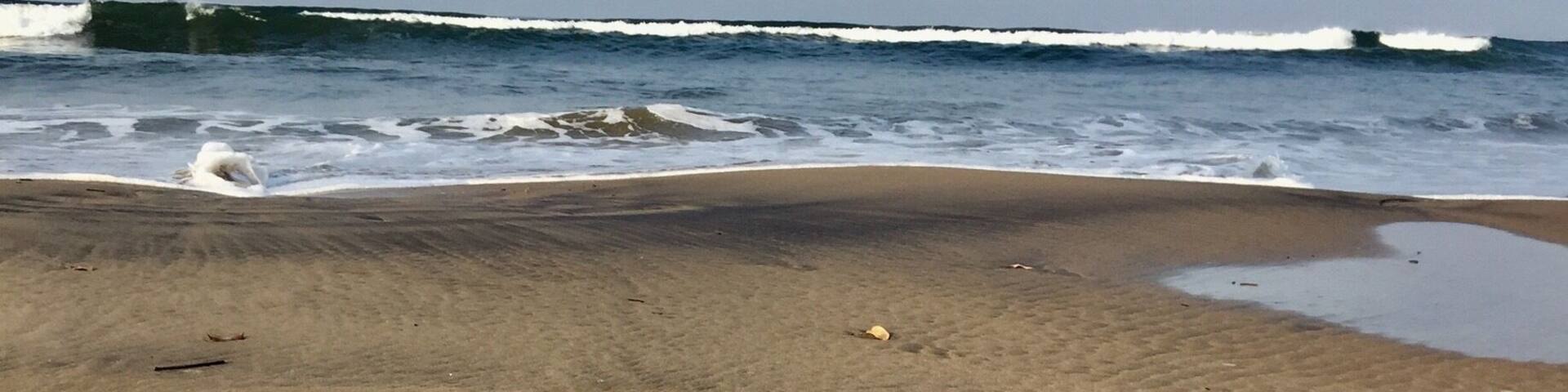 Morning walks on the beach are the best because you discover hidden treasures. I call this the lone survivor.
#beachbound #beach #goa #morningwalk #calm #coconut