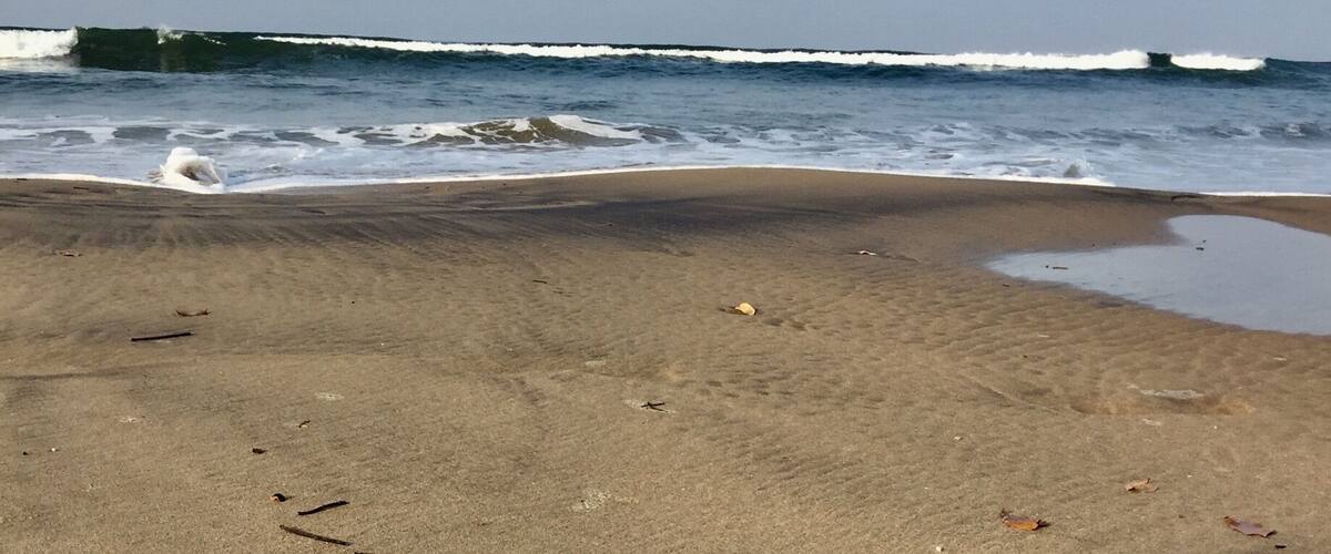 A coconut on a sandy beach with ocean waves in the background.