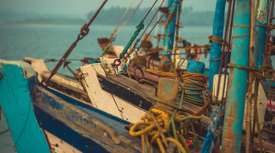 Noses of fishing boats standing on the dock in the background Arabian Sea