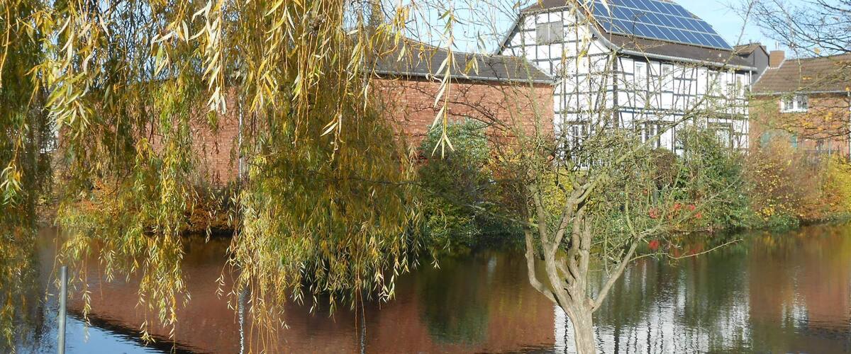 Burgweiher (Swisttal-Buschhoven)