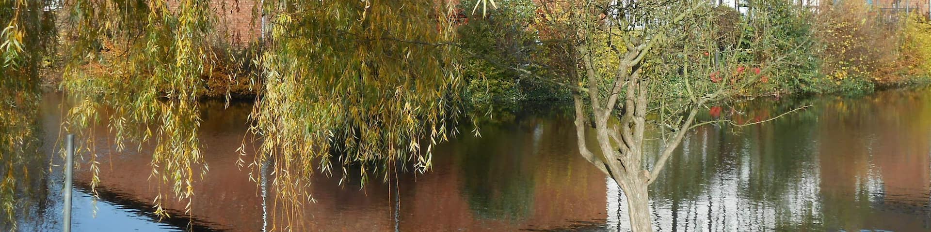 Burgweiher (Swisttal-Buschhoven)