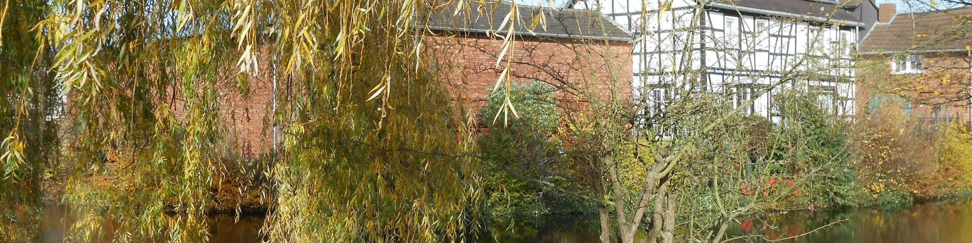 Burgweiher (Swisttal-Buschhoven)