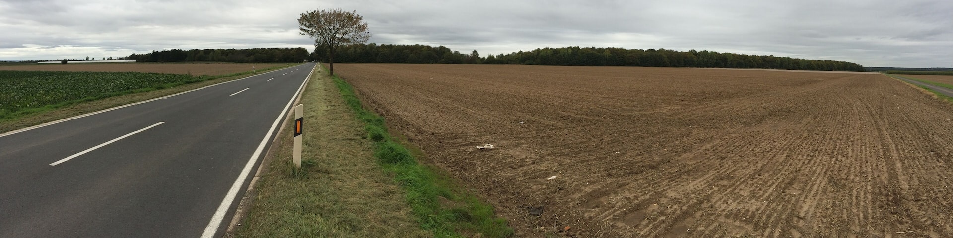 Picture of the WWII Airfield "Strassfeld" near Euskrichen, Germany. The Airfield is overgrown with a thick cover of vegetation. The Picture was taken from the south side, viewing to north.