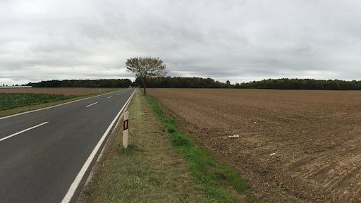 Picture of the WWII Airfield "Strassfeld" near Euskrichen, Germany. The Airfield is overgrown with a thick cover of vegetation. The Picture was taken from the south side, viewing to north.