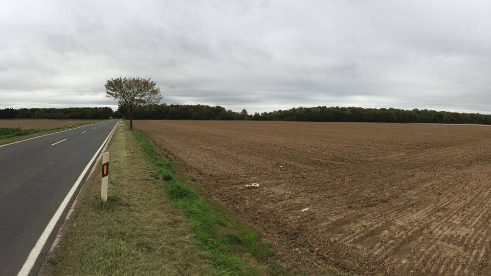 A rural road with fields on either side and a tree in the distance.
