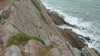 Una costa rocosa con olas rompiendo sobre la orilla.