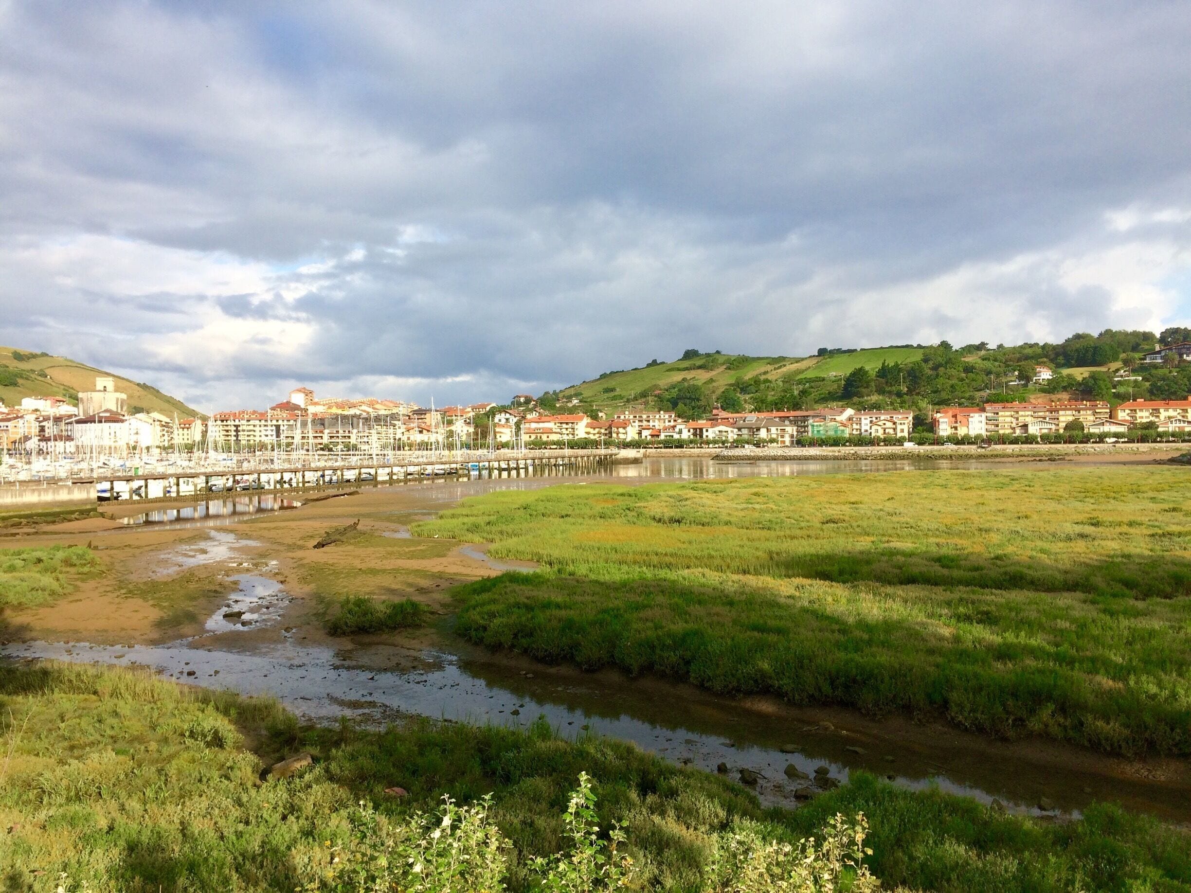 Early morning sunshine 