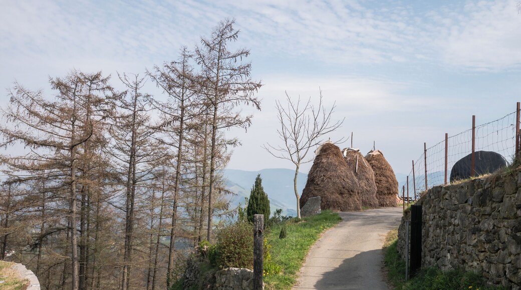 Haystacks in the entrance of a mountain farm in Urkizu. Tolosa, Gipuzkoa, Spain