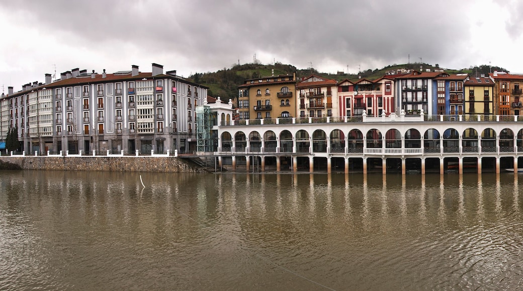 View of Tolosa, Oria river, town market and Santa Maria Church