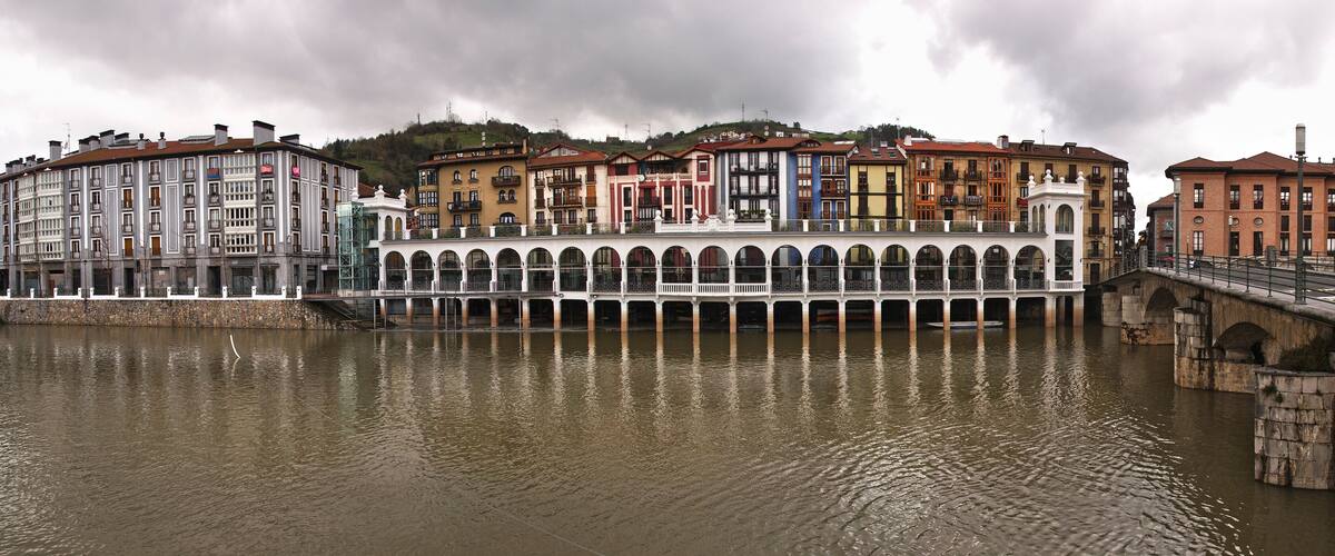 A riverside cityscape with historic buildings and a bridge.