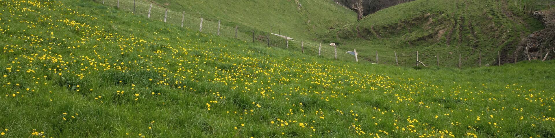 Mountain farm in Urkizu. Tolosa, Gipuzkoa, Spain