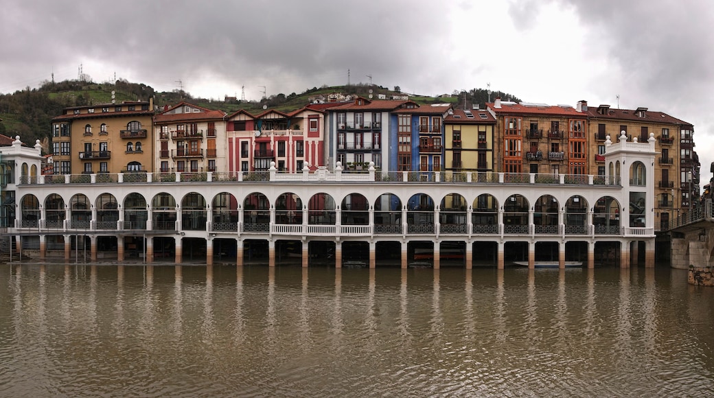 View of Tolosa, Oria river, town market and Santa Maria Church