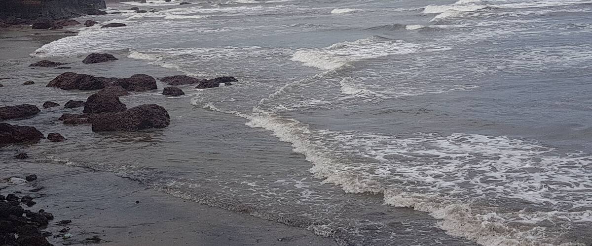 A beach with waves crashing onto the shore, rocks, and palm trees.