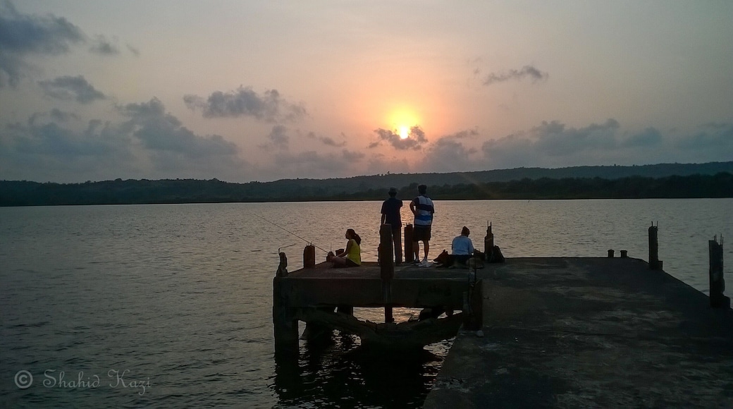 A different side to Goa in the backwaters. A small island with homestays perfect for a time away from all the hustle bustle