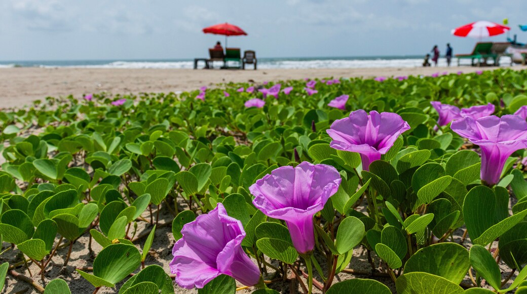 Various beaches of North Goa