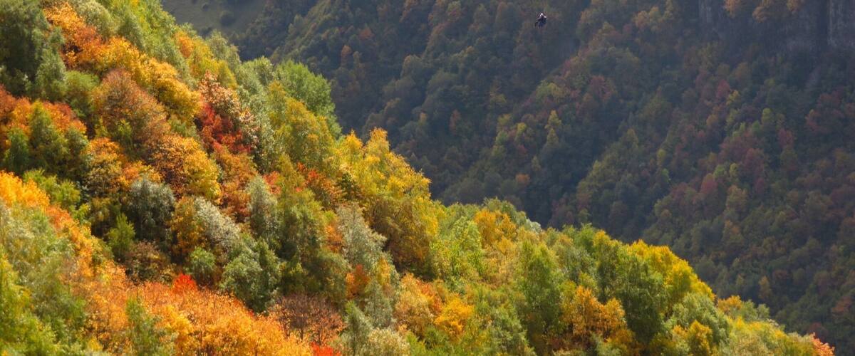 If you have ever wanted to try paragliding, it is a must in the Caucasus Mountains of Georgia. There is nothing like soaring like a bird above the autumn trees!
#Adventure Photo Contest