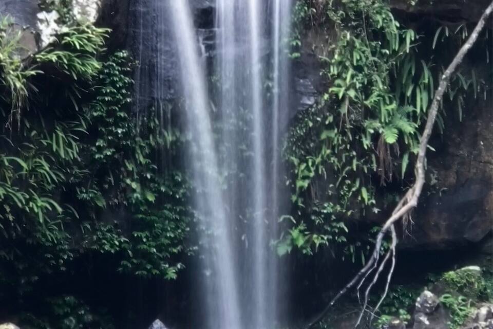 A waterfall cascading over rocks surrounded by lush greenery.