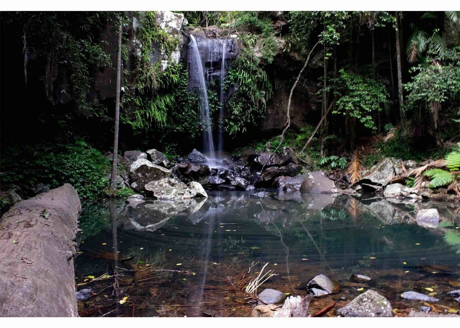 Curtis Falls late January