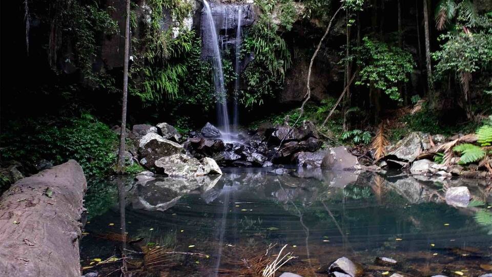 Curtis Falls late January