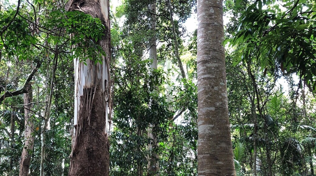 Taken at Bantham Quay looking back up the River Avon. This place is easy to miss when driving down to Bantham beach