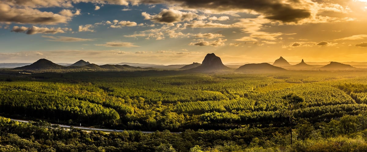 A forested landscape with a road and distant mountains during sunset.