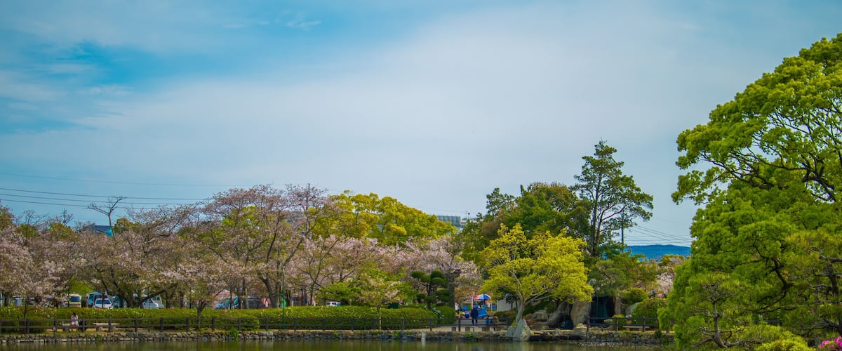 A serene park with a pond, cherry blossoms, and a distant cityscape.