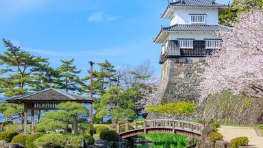 Une pagode japonaise traditionnelle, avec une base en pierre, entourée de cerisiers en fleurs et d’un pont en bois.