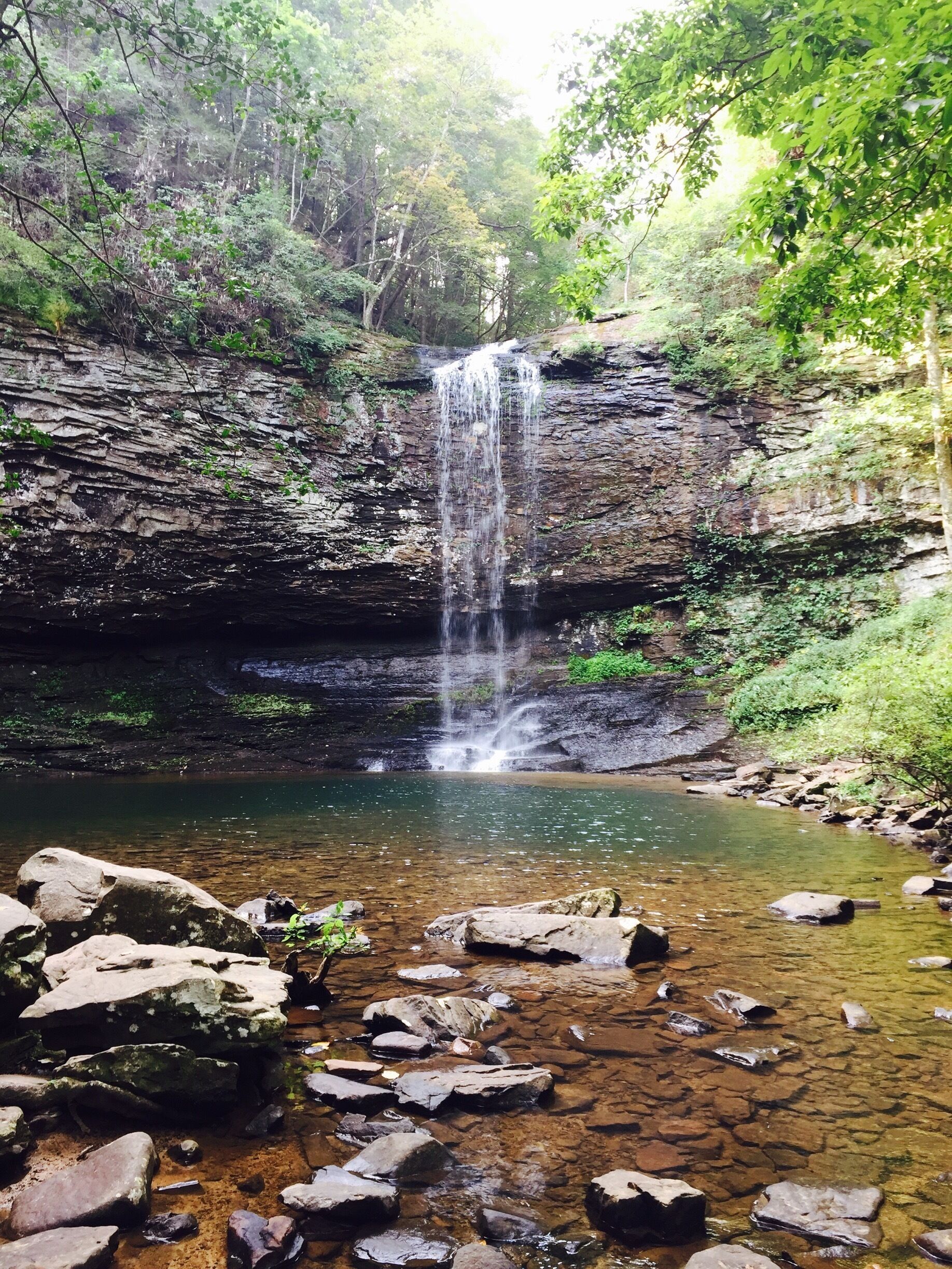 A waterfall cascading into a clear pool surrounded by rocky terrain and dense foliage.