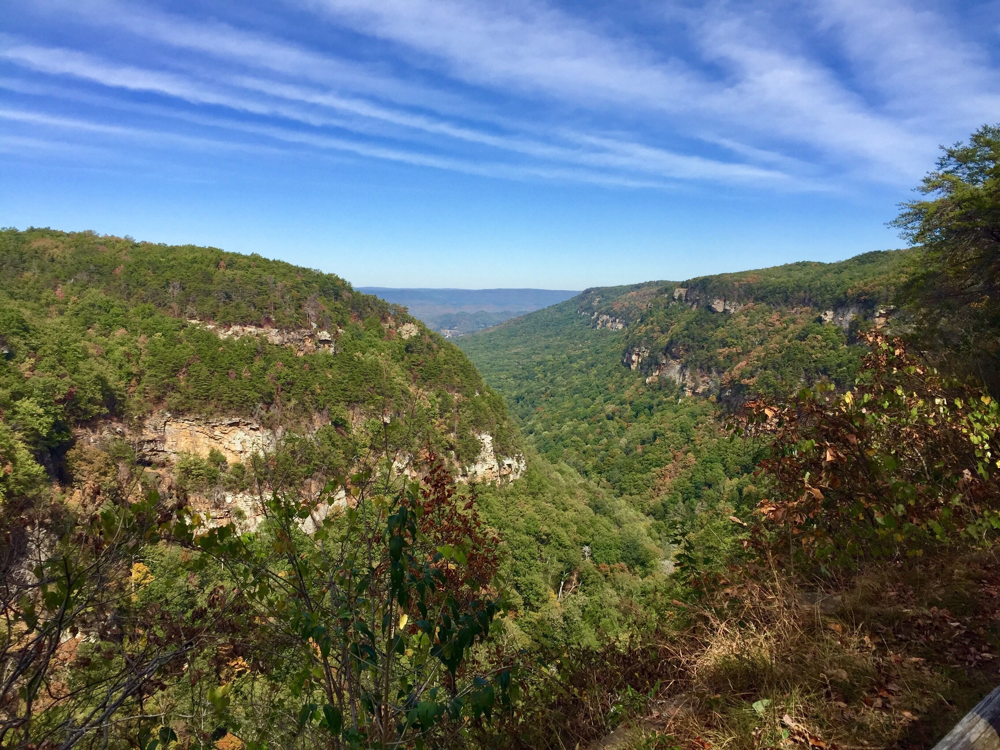 A mountainous landscape with dense forests and rocky cliffs.