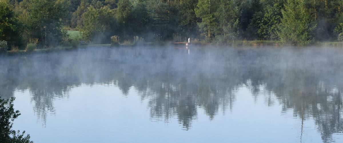 A calm lake with reflections of trees and a misty forest in the background.
