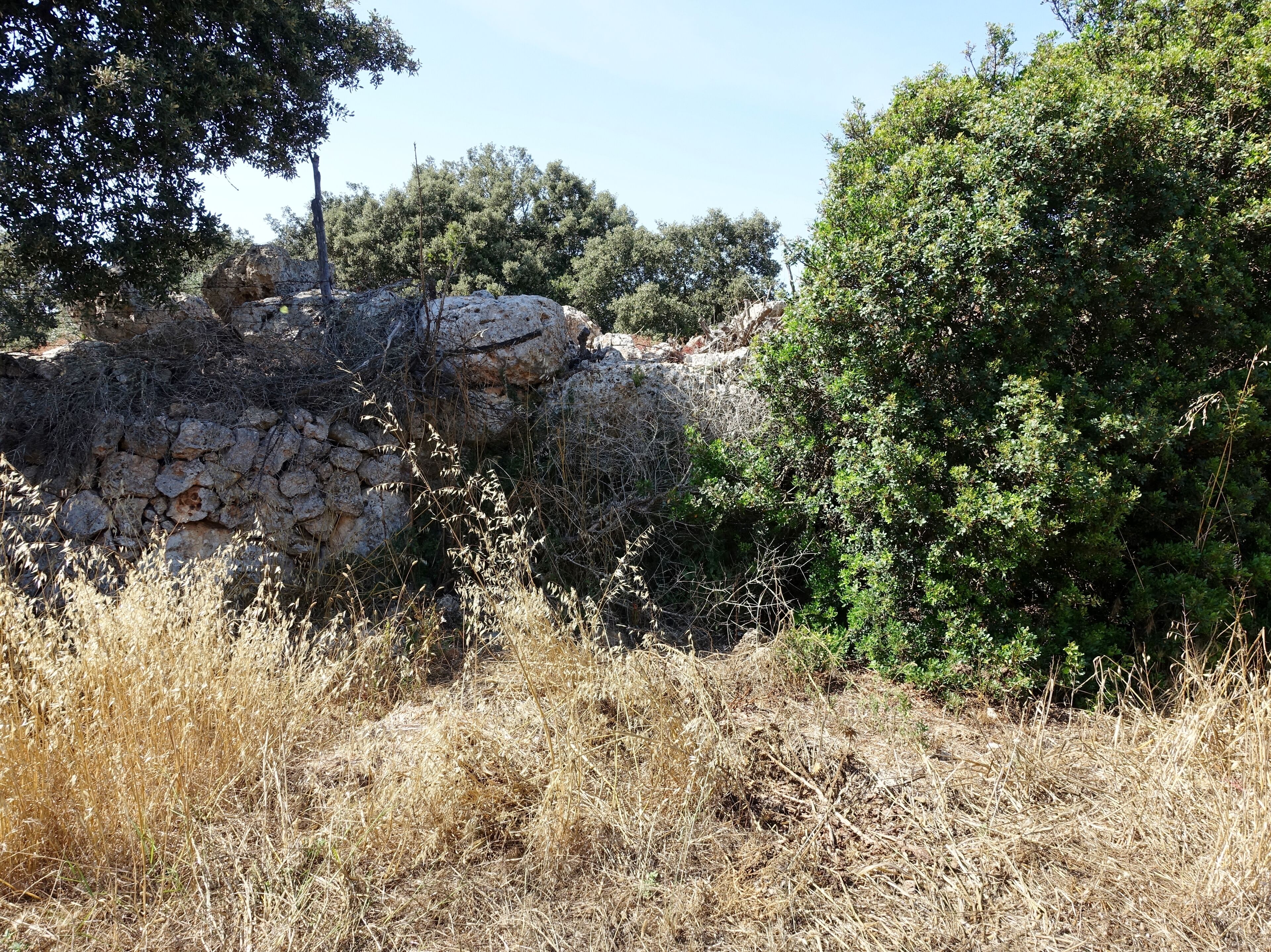 Talaiot de Binifat, Gemeinde Sencelles, Mallorca, Spanien