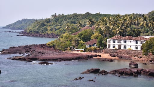 image of the ocean with vast greenery just beside it, in Dona paula