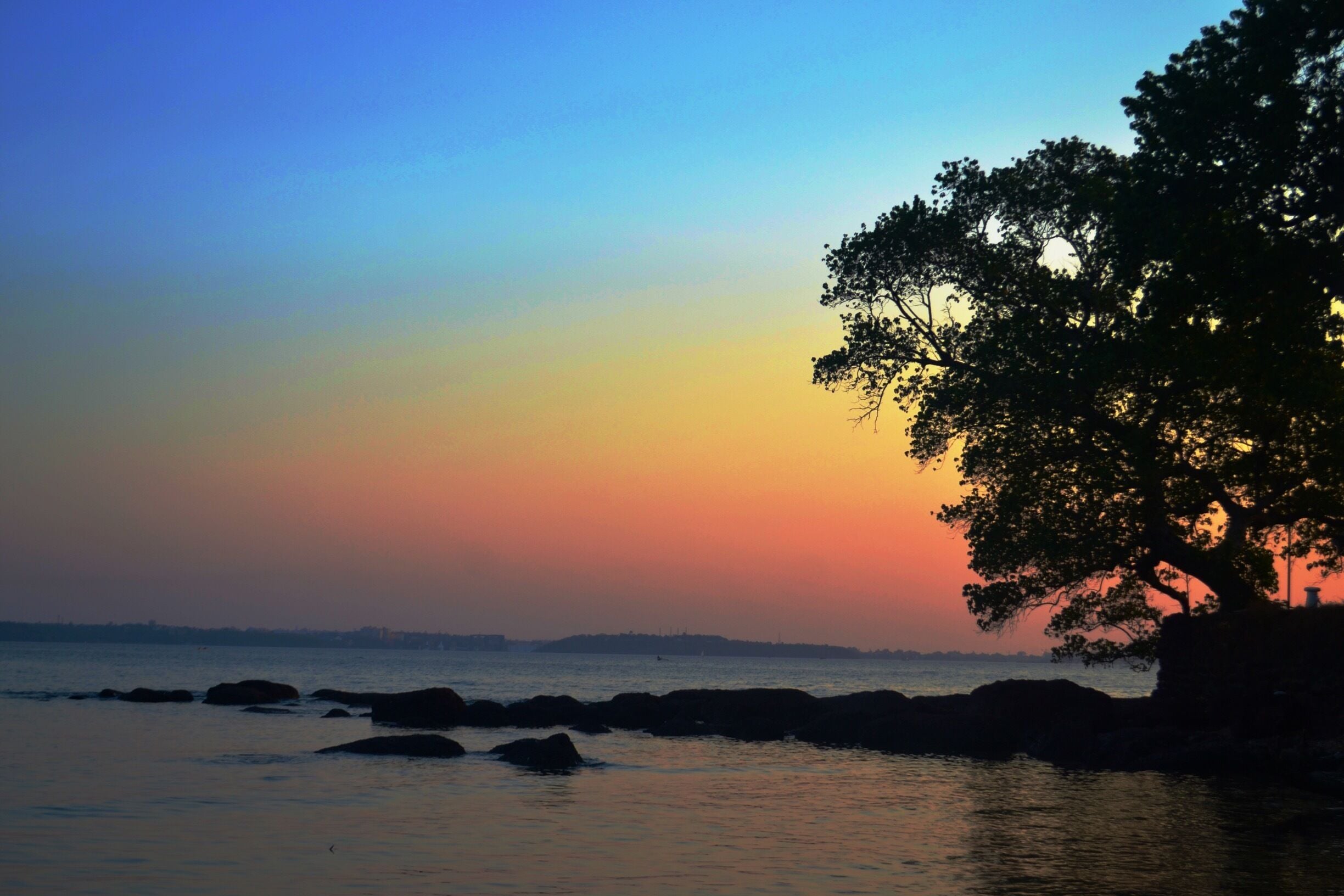 Spotted this while riding down a cliff. This beach appeared out of nowhere 😊 #goa #sunset 