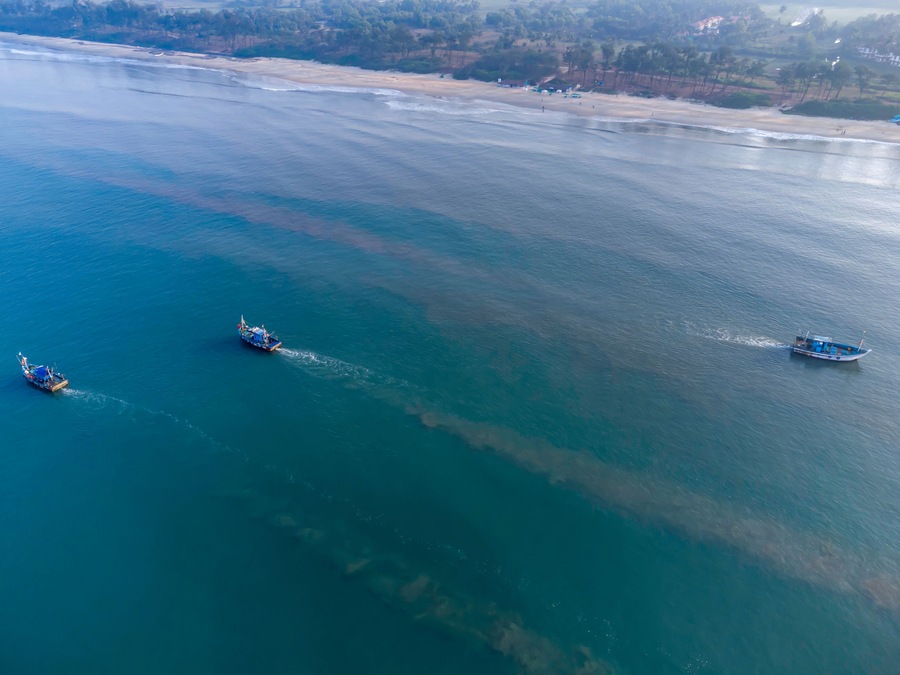 Aerial view of fishing boats off Betalbatim beach at South Goa, located on the West Coast of Maharashtra India.