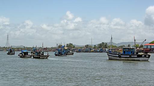 Anchored fishing boats at Cutbon Fishing Jetty, at the mouth of Sal River, adjacent to Cutbona Jetty in Goa, viewed from Betul.
