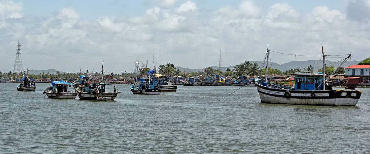A harbor with several fishing boats, a power line tower, and a red-roofed building in the background.