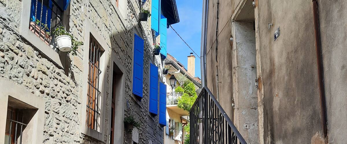 A narrow stone street with blue shutters and a metal railing.