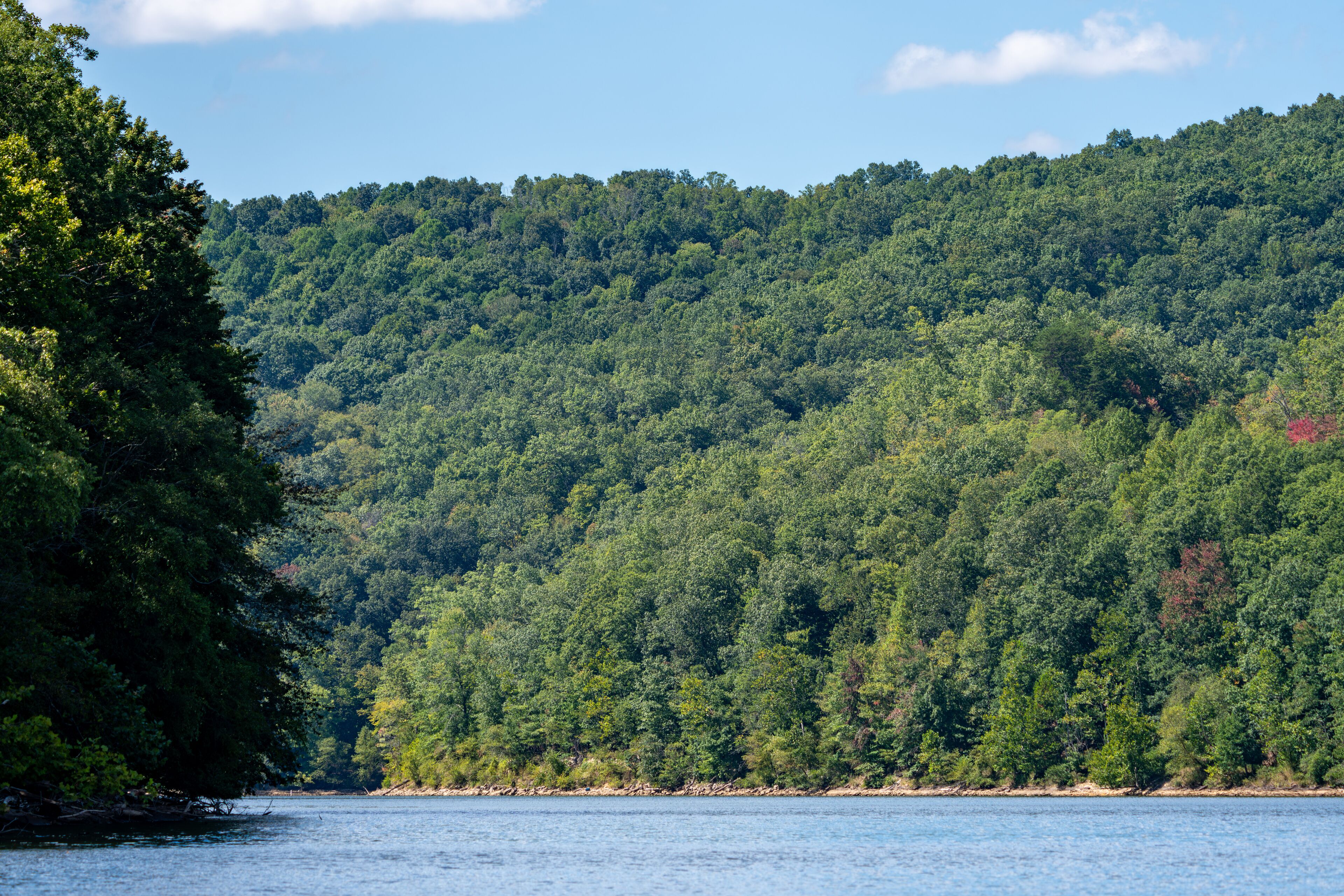 Scenic Forested Hills Along Sutton Lake in West Virginia