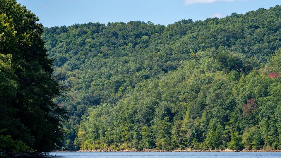 Scenic Forested Hills Along Sutton Lake in West Virginia