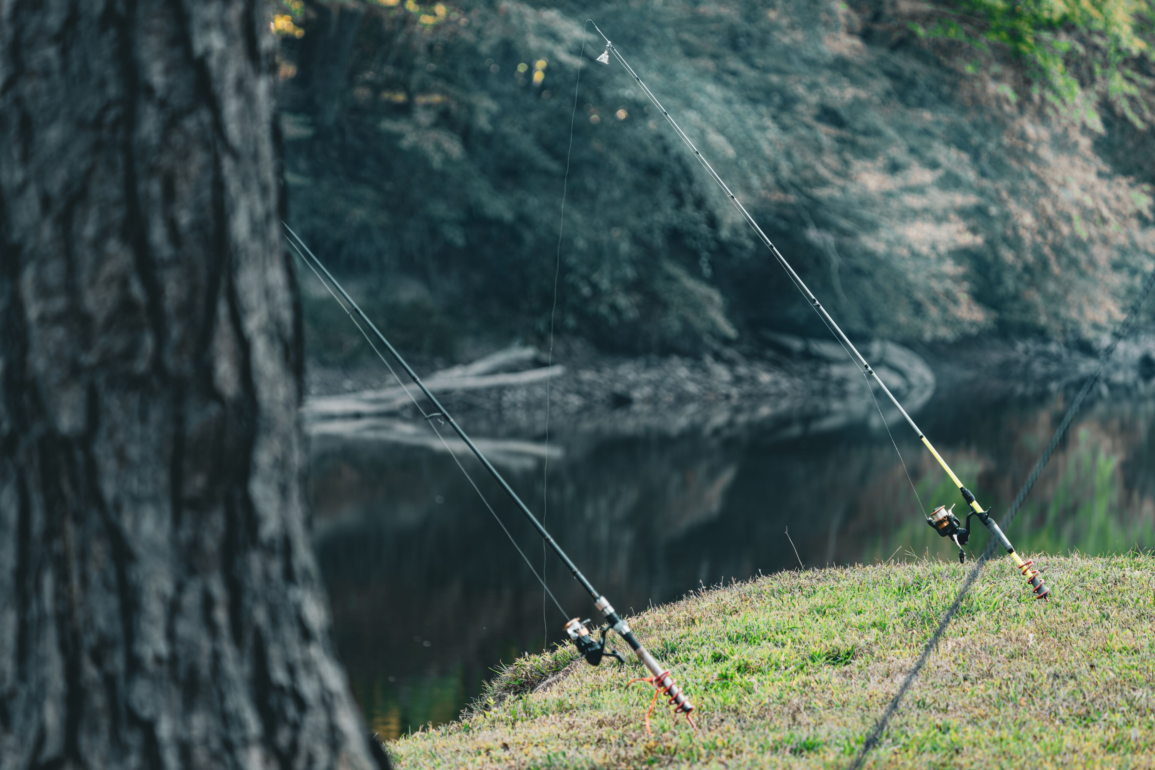 Fishing Rods Set Up by Sutton Lake Shore in West Virginia
