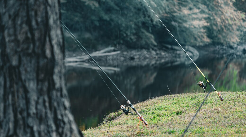 Fishing Rods Set Up by Sutton Lake Shore in West Virginia