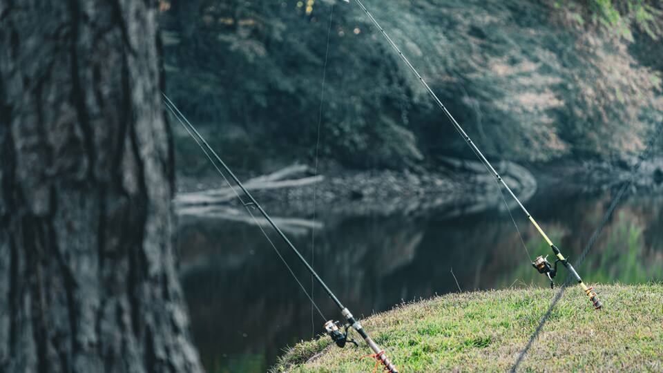 Fishing Rods Set Up by Sutton Lake Shore in West Virginia
