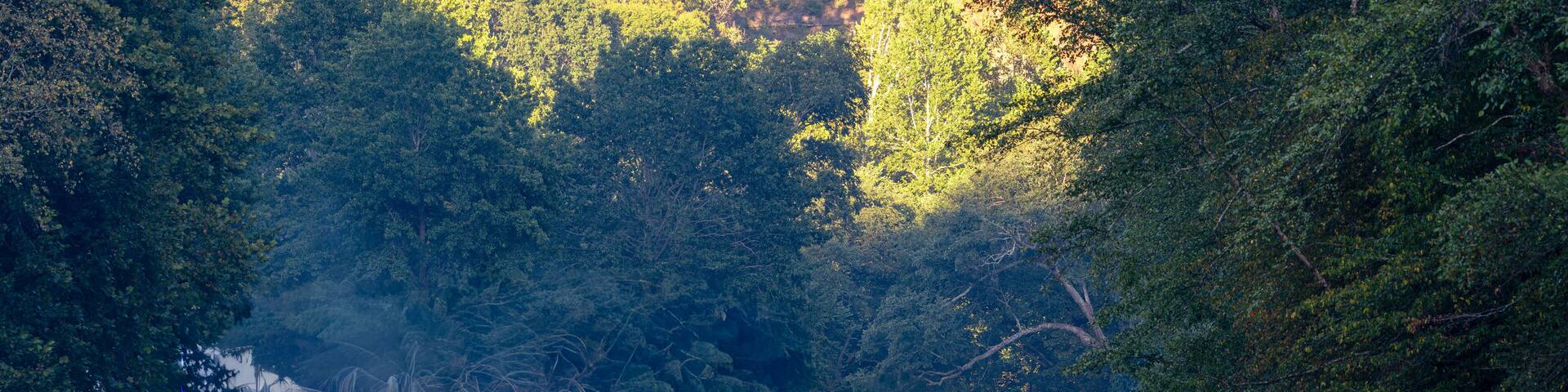 Tranquil River Scene with Reflections and Fallen Logs at Sutton Lake, West Virginia