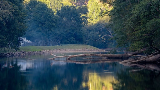 Tranquil River Scene with Reflections and Fallen Logs at Sutton Lake, West Virginia