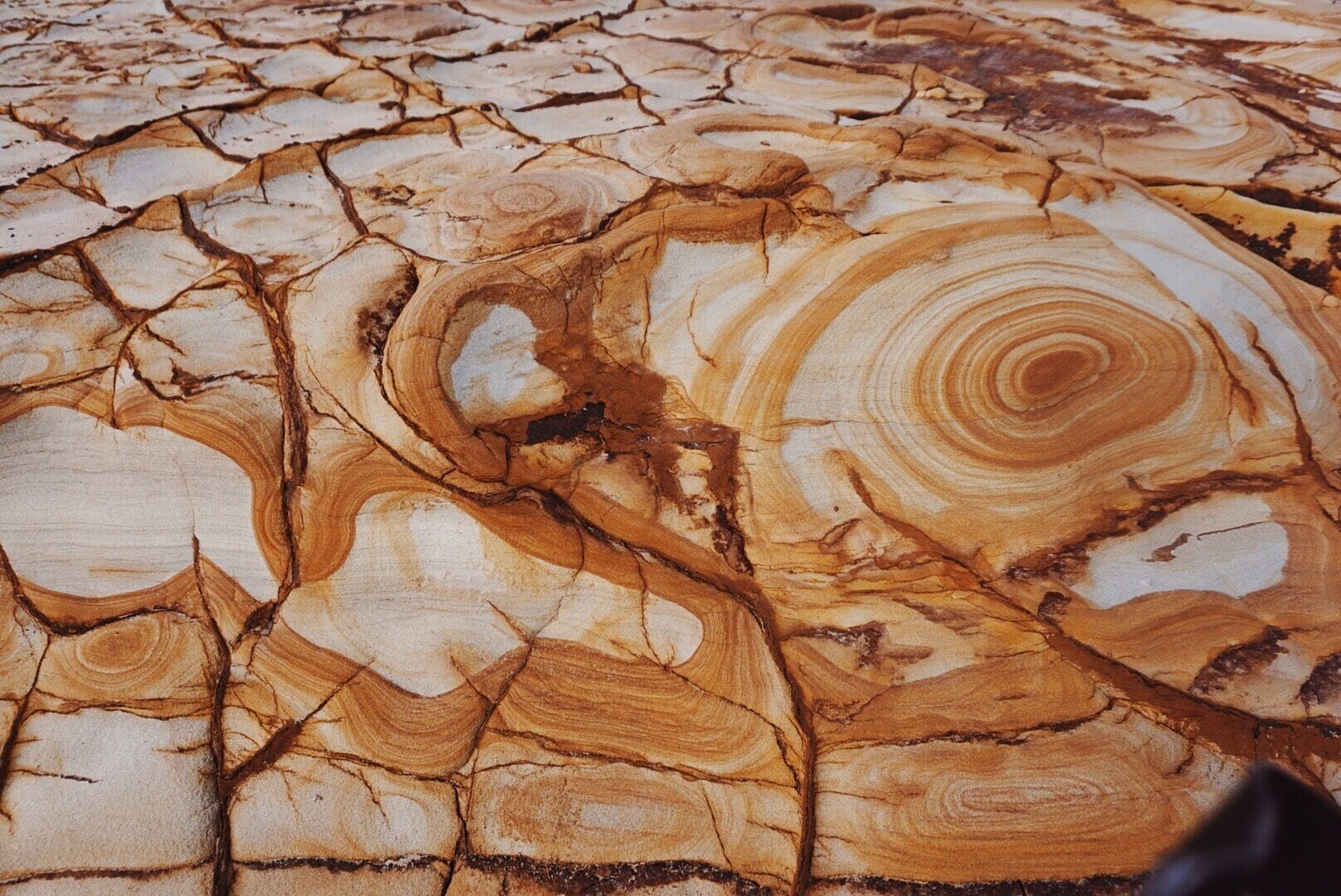Taken on a #hike 1.5 hours out of my hometown #sydney a couple days ago. The rock formations at Putty Beach in the Bouddi National Park look like weird candies #patterns #australia